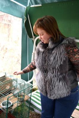 В Рязань завозят чешских попугаев